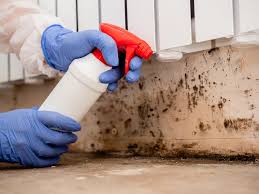 Best Mold Odor Removal Services  in , NH